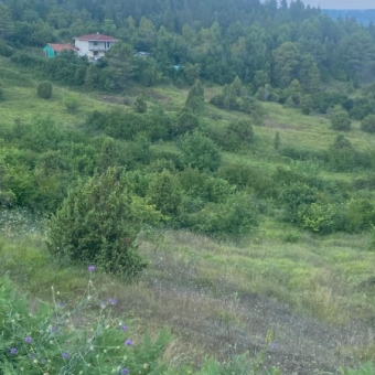 şile agva kurfali köyde satılık 2190m2 arsa